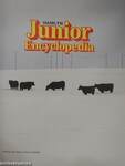 Hamlyn Junior Encyclopedia