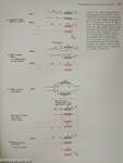 Molecular Cell Biology