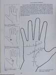 The Palmistry Workbook