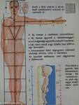 Az emberi test képekben