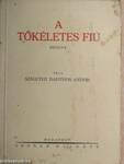 A tökéletes fiú