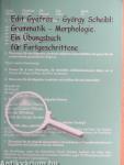 Grammatik-Morphologie