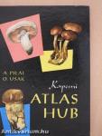 Kapesni Atlas Hub