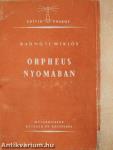 Orpheus nyomában