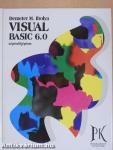 Visual Basic 6.0