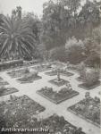 Patios and Gardens of Mexico