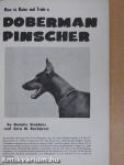 How to Raise and Train a Doberman Pinscher