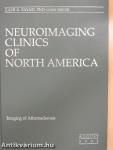 Neuroimaging Clinics of North America August 2002