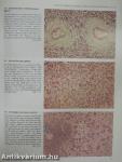 Color Atlas of Histopathology