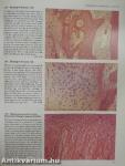 Color Atlas of Histopathology