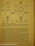 Grundlagen der Geochemie