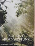 Sugárzó környezetünk
