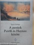 A pestiek Petőfi és Haynau között