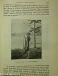 Természettudományi Közlöny 1908. január-december/Pótfüzetek a Természettudományi Közlönyhöz 1908. január-december