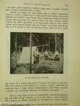 Természettudományi Közlöny 1908. január-december/Pótfüzetek a Természettudományi Közlönyhöz 1908. január-december