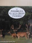 Possibilitá di Caccia Presso le Aziende Forestali Ungheresi