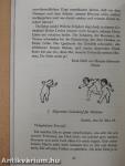 Liebesbriefe für Anfänger