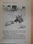 The House at Pooh Corner