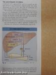 Lipids and Lipid Disorders