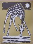 A zsiráfok inni mennek