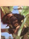 Tiere Afrikas