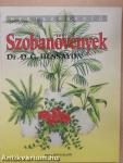 Szobanövények