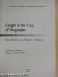 Caught in the Trap of Integration