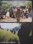 IFOR on IFOR - NATO Peacekeepers in Bosnia-Herzegovina