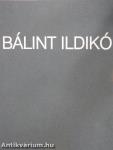 Bálint Ildikó: Naplótöredék