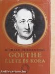 Goethe élete és kora