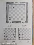 Brilliant chess studies