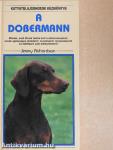 A dobermann