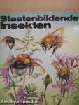 Staatenbildende Insekten