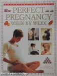 Perfect Pregnancy Week by Week