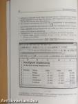 Excel 7.0 a Windows 95 alatt