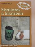 Kisállatok a lakásban