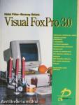 Visual FoxPro 3.0