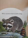 The Baby Animal Book