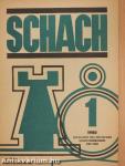 Schach Januar 1980