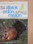 Állatok erdőn, mezőn