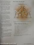New Headway - Talking Points - Student's Book