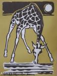 A zsiráfok inni mennek