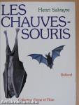 Les chauves-souris