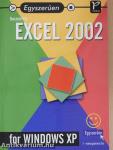 Egyszerűen Excel 2002 for Windows XP