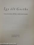 Így élt Goethe