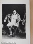 Napoleon Magyarországon