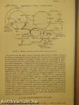 GABA and Benzodiazepine Receptors I-II