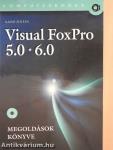 Visual FoxPro 5.0*6.0