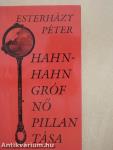 Hahn-Hahn grófnő pillantása