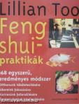 Feng shui-praktikák